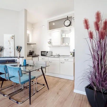 Spacious Koster Beach Apartment, Close To The Beach Zandvoort